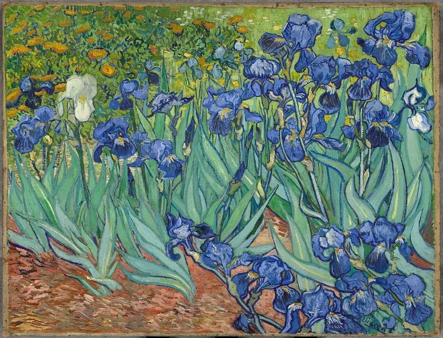 100+ Ảnh Tranh Của Van Gogh Đẹp Nhất Tuyển Tập Nghệ Thuật Bất Hủ · ảnh 3