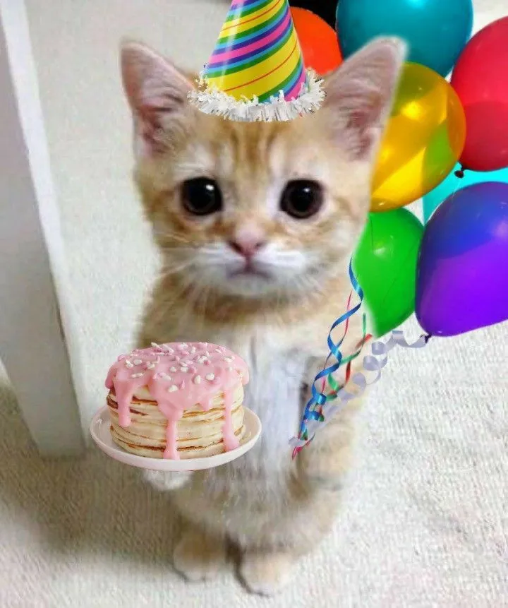 50+ ảnh meme happy birthday vui nhộn · ảnh 1