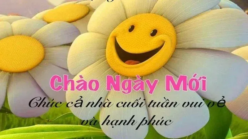 Bộ sưu tập 100+ hình ảnh chào buổi sáng tươi sáng nhất · ảnh 1