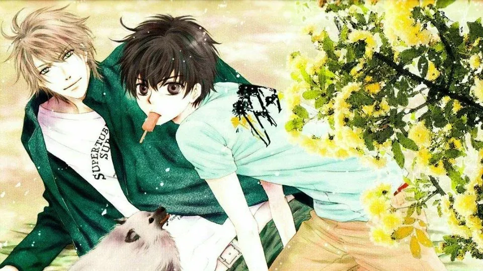 Tuyển tập 100+ ảnh anime đam mỹ lãng mạn