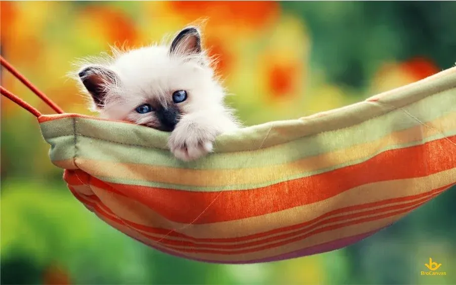 Tuyển tập 100+ hình ảnh con mèo cute đáng yêu nhất