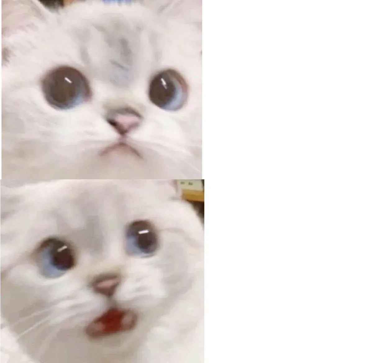 Tuyển tập 100+ meme ngạc nhiên hài hước nhất · ảnh 3